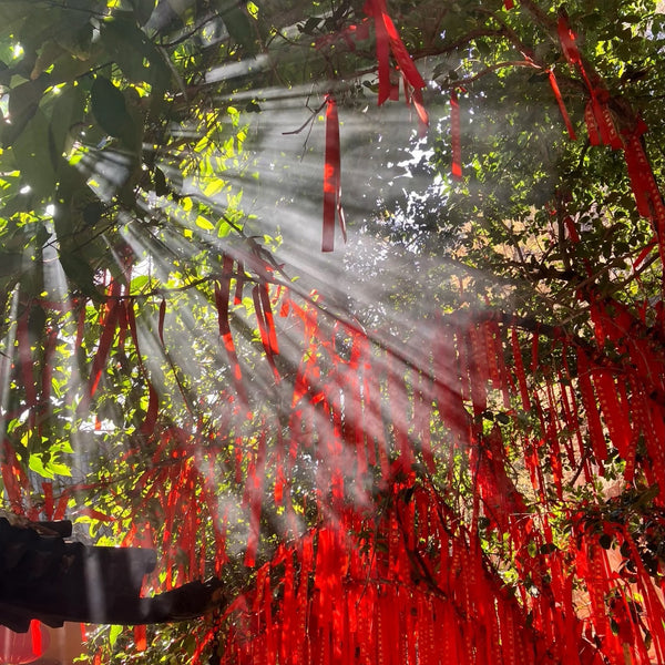 Lucky Ribbon Service - Temple Blessing Ribbons